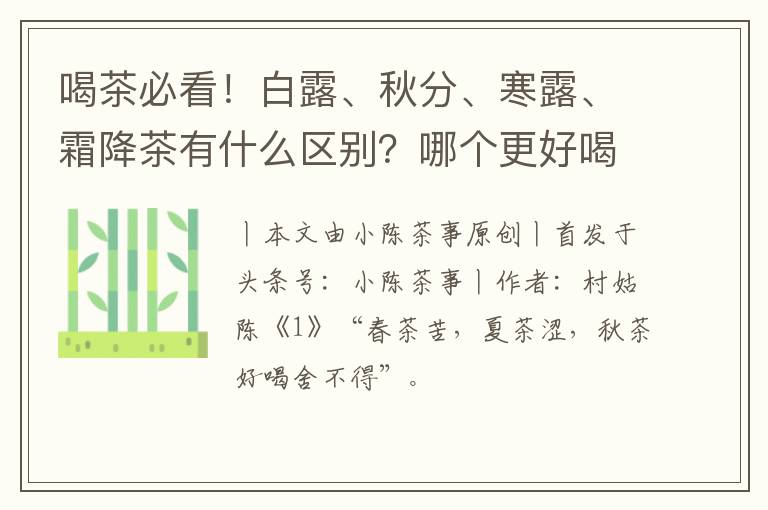 喝茶必看！白露、秋分、寒露、霜降茶有什么区别？哪个更好喝？
