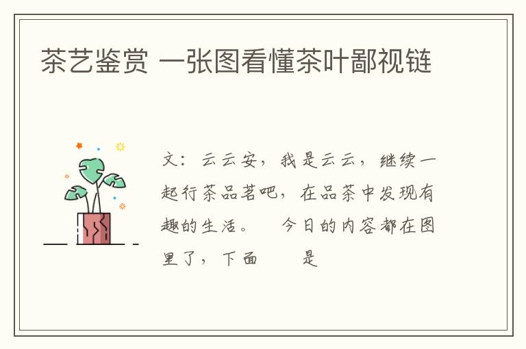 茶艺鉴赏 一张图看懂茶叶鄙视链