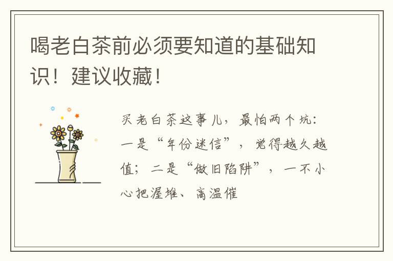 喝老白茶前必须要知道的基础知识！建议收藏！