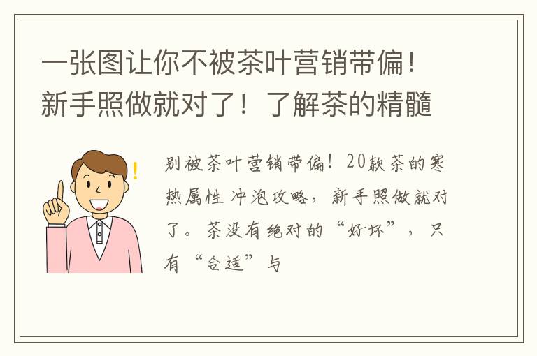 一张图让你不被茶叶营销带偏！新手照做就对了！了解茶的精髓。