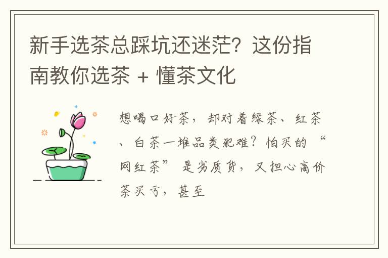 新手选茶总踩坑还迷茫？这份指南教你选茶 + 懂茶文化