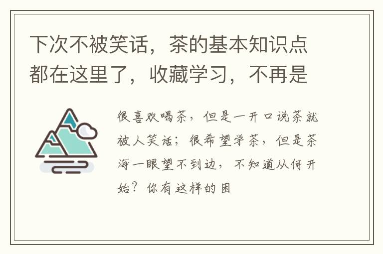 下次不被笑话，茶的基本知识点都在这里了，收藏学习，不再是小白