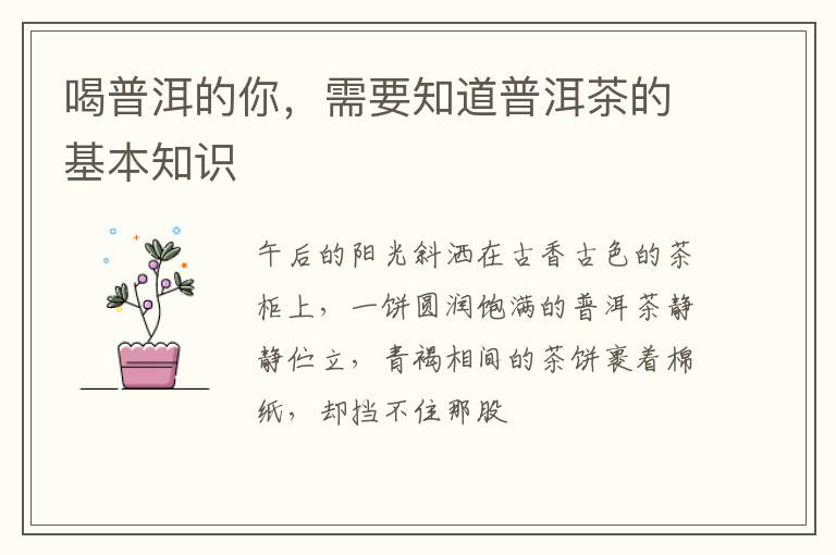 喝普洱的你，需要知道普洱茶的基本知识