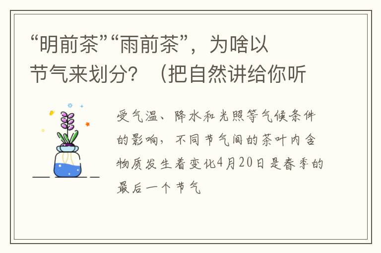 “明前茶”“雨前茶”，为啥以节气来划分？（把自然讲给你听）