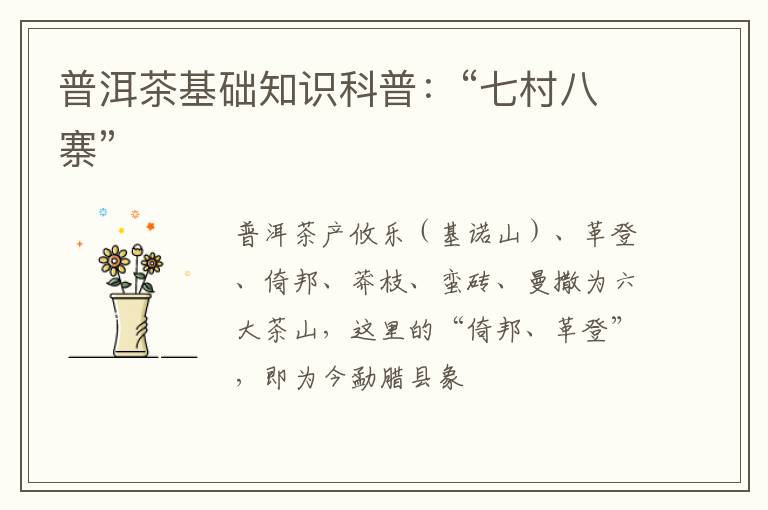 普洱茶基础知识科普：“七村八寨”