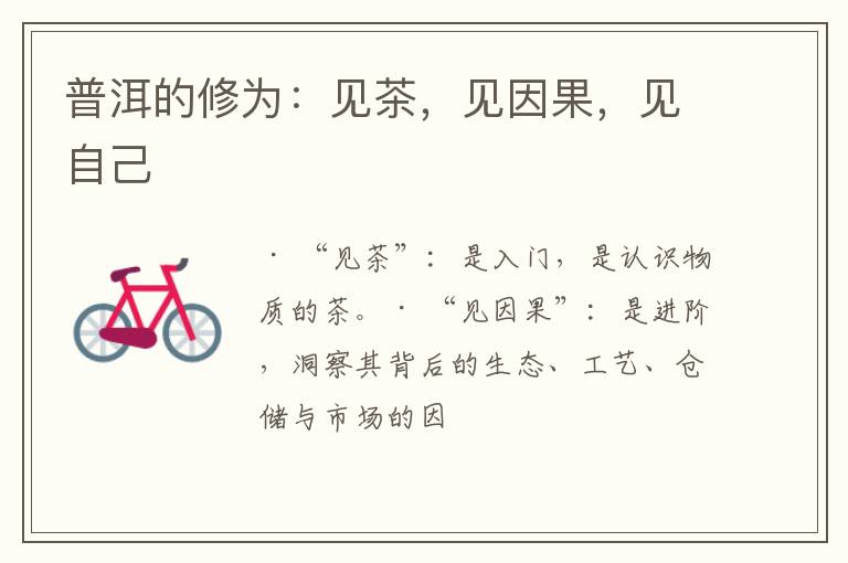 普洱的修为：见茶，见因果，见自己