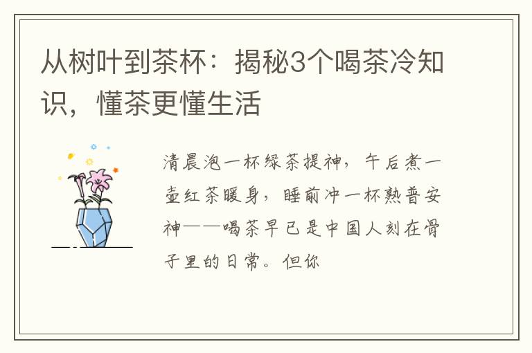 从树叶到茶杯：揭秘3个喝茶冷知识，懂茶更懂生活