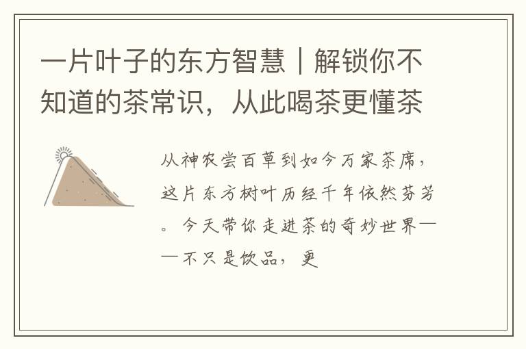 一片叶子的东方智慧｜解锁你不知道的茶常识，从此喝茶更懂茶