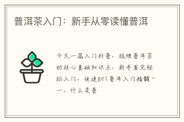 普洱茶入门:新手从零读懂普洱