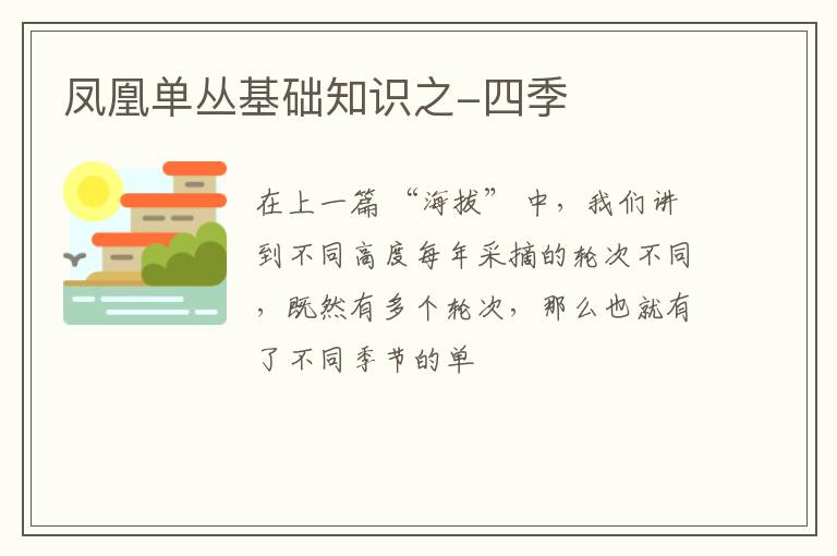 凤凰单丛基础知识之-四季