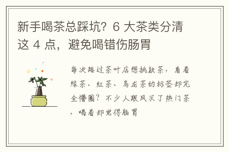 新手喝茶总踩坑？6 大茶类分清这 4 点，避免喝错伤肠胃