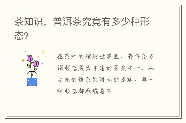 茶知识,普洱茶究竟有多少种形态?