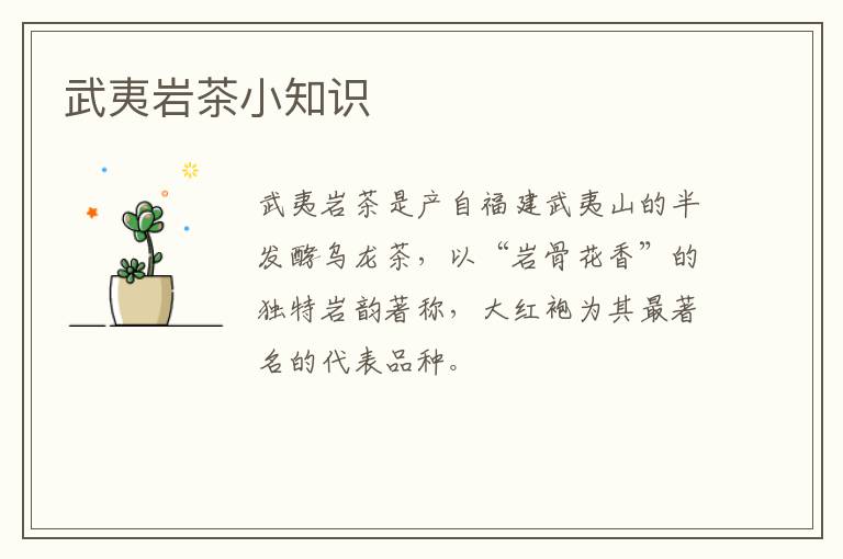 武夷岩茶小知识