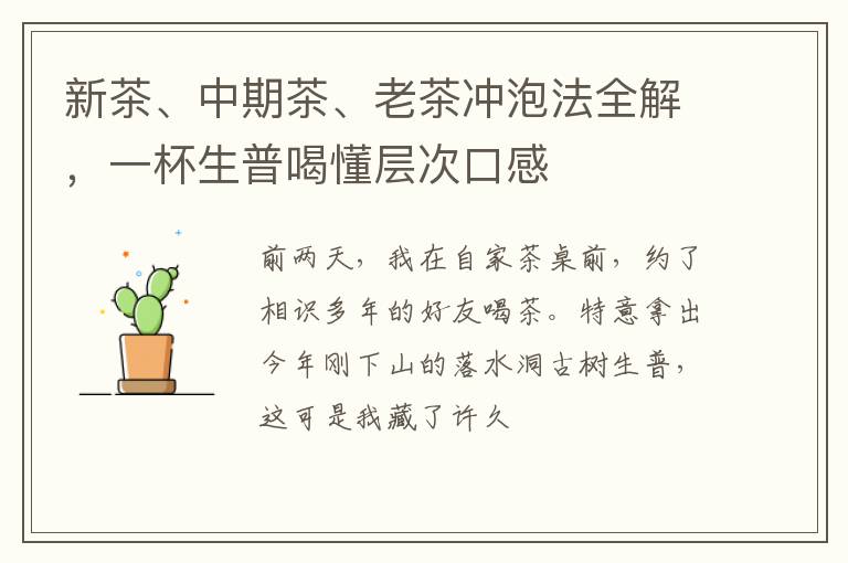 新茶、中期茶、老茶冲泡法全解，一杯生普喝懂层次口感