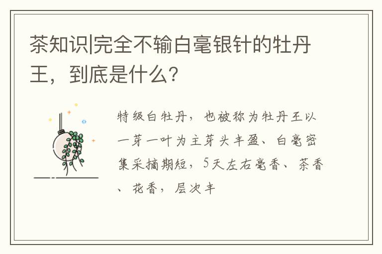 茶知识|完全不输白毫银针的牡丹王,到底是什么?