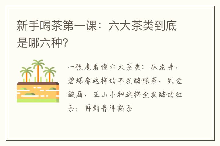 新手喝茶第一课：六大茶类到底是哪六种？