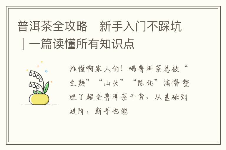普洱茶全攻略✨新手入门不踩坑｜一篇读懂所有知识点