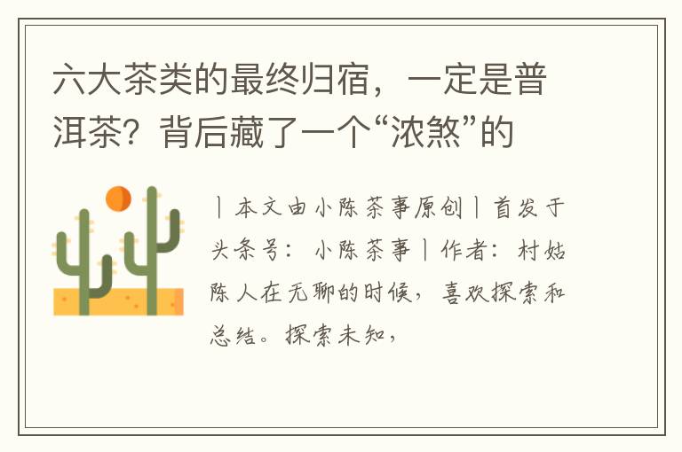 六大茶类的最终归宿，一定是普洱茶？背后藏了一个“浓煞”的标签