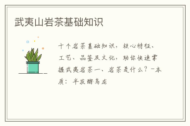 武夷山岩茶基础知识