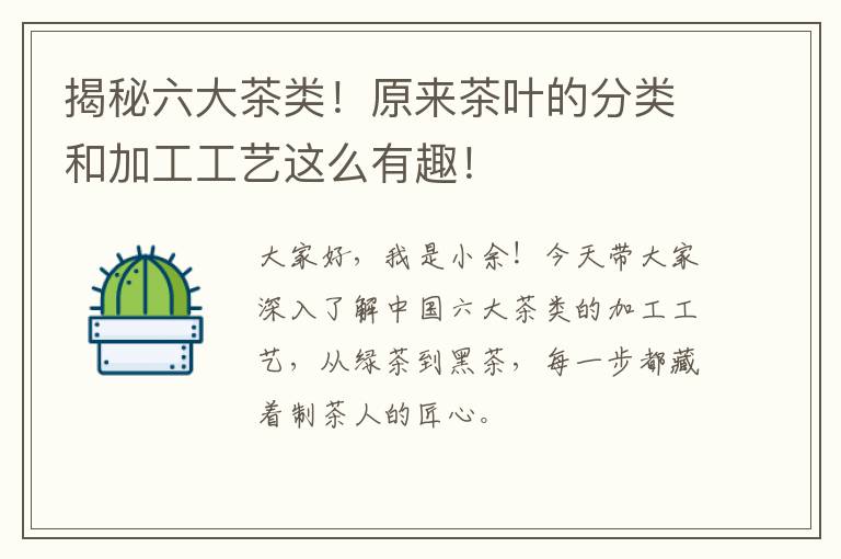 揭秘六大茶类!原来茶叶的分类和加工工艺这么有趣!