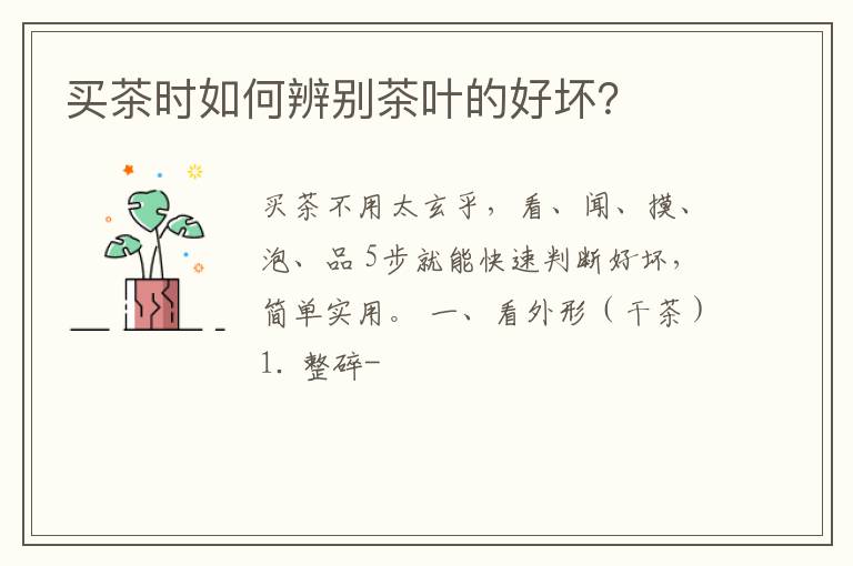 买茶时如何辨别茶叶的好坏？