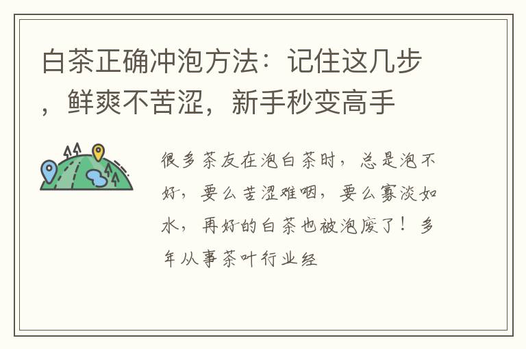 白茶正确冲泡方法：记住这几步，鲜爽不苦涩，新手秒变高手