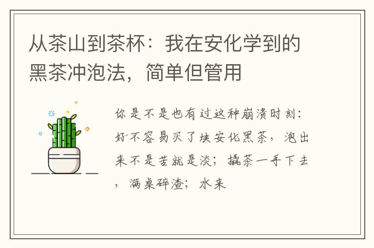 从茶山到茶杯：我在安化学到的黑茶冲泡法，简单但管用