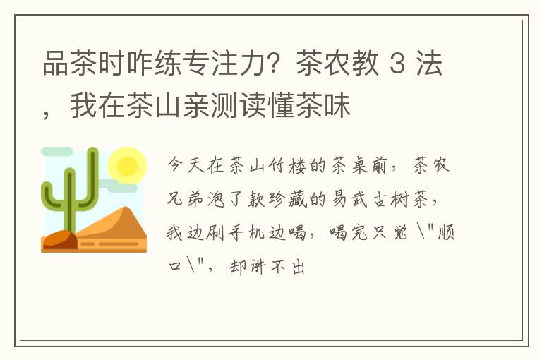 品茶时咋练专注力？茶农教 3 法，我在茶山亲测读懂茶味