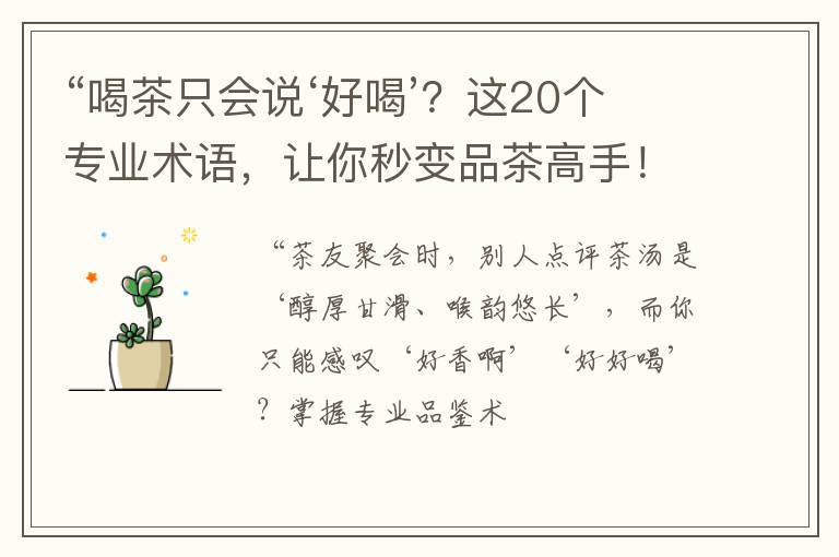 “喝茶只会说‘好喝’?这20个专业术语,让你秒变品茶高手!”