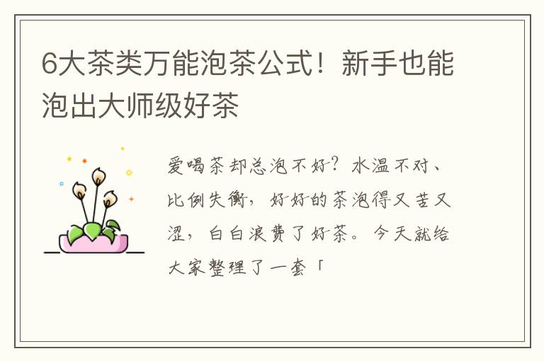 6大茶类万能泡茶公式！新手也能泡出大师级好茶