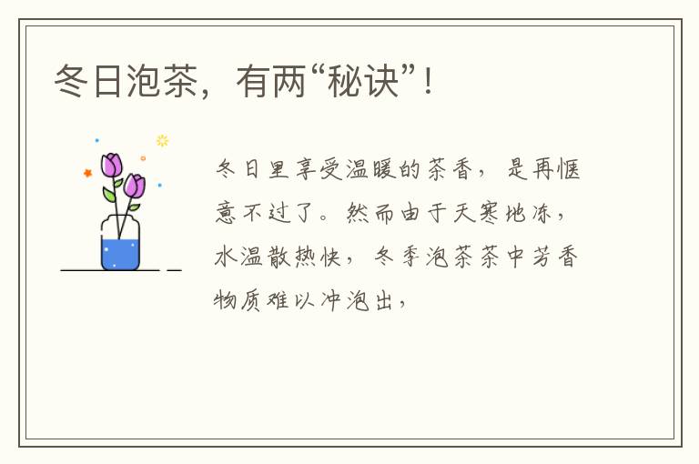 冬日泡茶，有两“秘诀”！