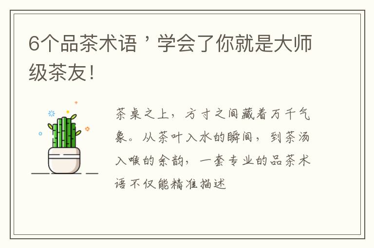 6个品茶术语＇学会了你就是大师级茶友！