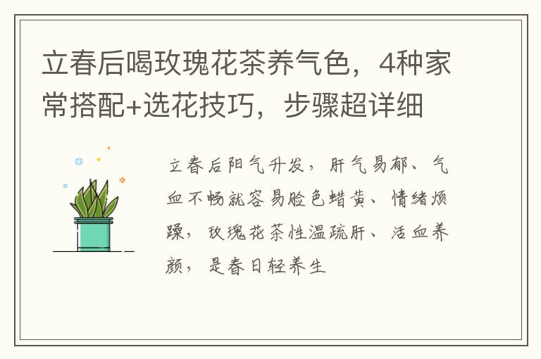 立春后喝玫瑰花茶养气色，4种家常搭配+选花技巧，步骤超详细