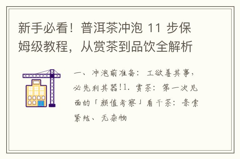 新手必看！普洱茶冲泡 11 步保姆级教程，从赏茶到品饮全解析