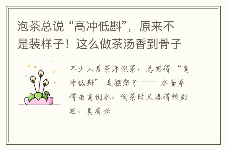泡茶总说 “高冲低斟”，原来不是装样子！这么做茶汤香到骨子里