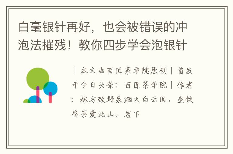 白毫银针再好，也会被错误的冲泡法摧残！教你四步学会泡银针