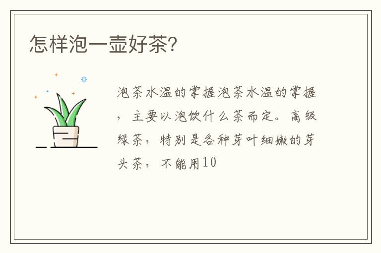 怎样泡一壶好茶?