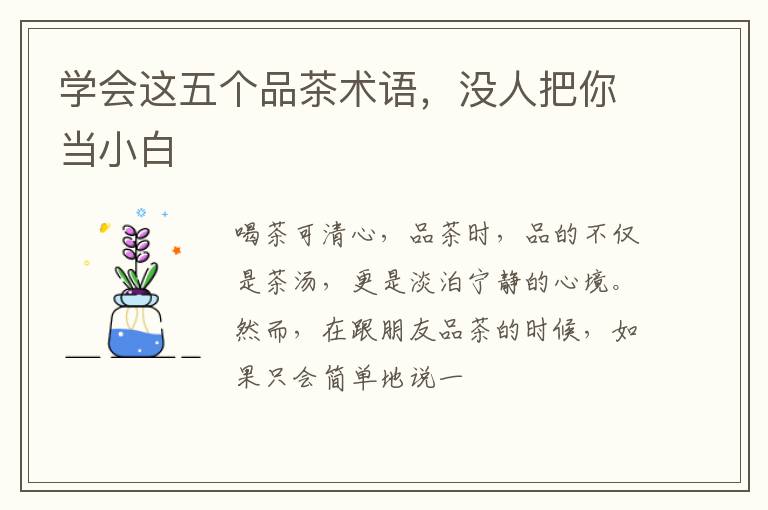 学会这五个品茶术语，没人把你当小白