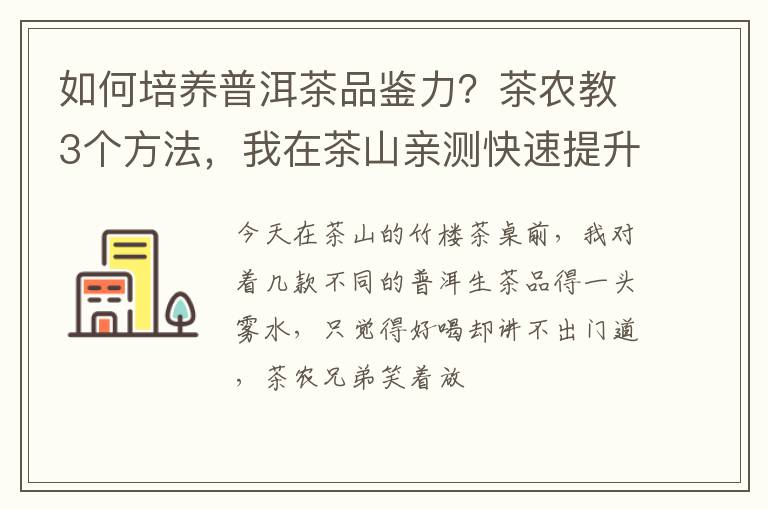 如何培养普洱茶品鉴力？茶农教3个方法，我在茶山亲测快速提升