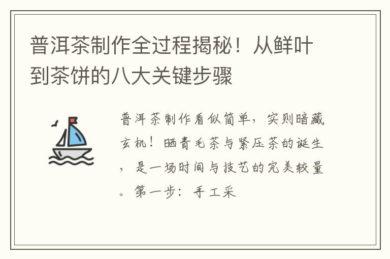 普洱茶制作全过程揭秘！从鲜叶到茶饼的八大关键步骤
