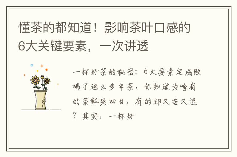 懂茶的都知道!影响茶叶口感的6大关键要素,一次讲透