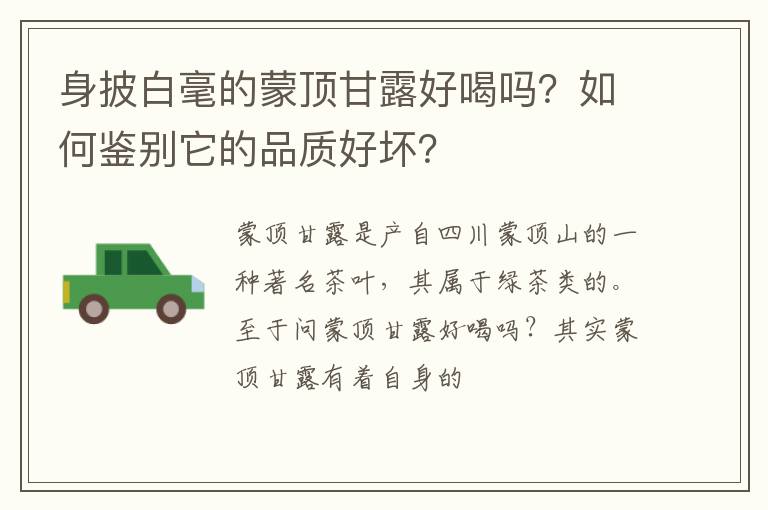 身披白毫的蒙顶甘露好喝吗？如何鉴别它的品质好坏？