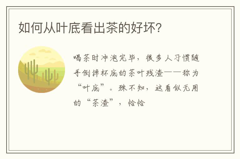 如何从叶底看出茶的好坏？