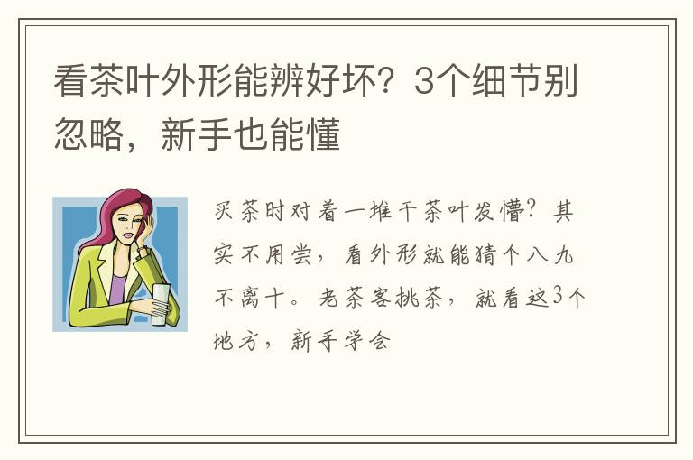 看茶叶外形能辨好坏？3个细节别忽略，新手也能懂