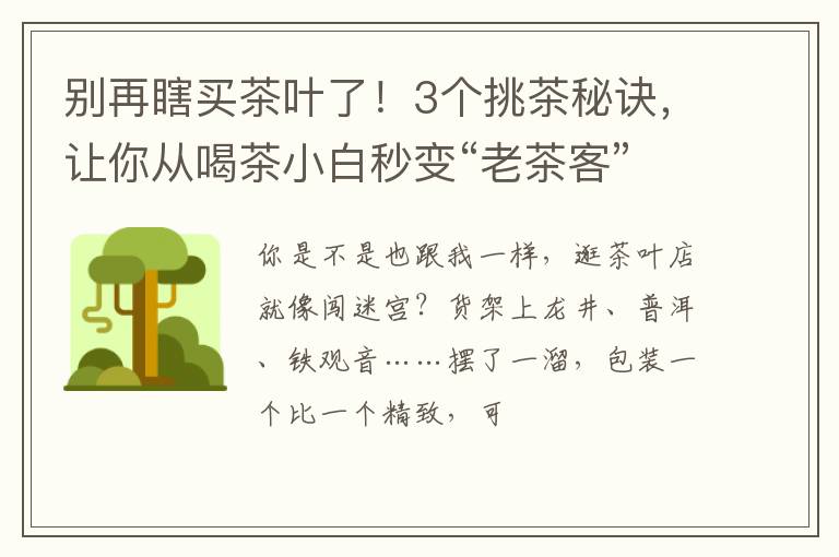别再瞎买茶叶了！3个挑茶秘诀，让你从喝茶小白秒变“老茶客”
