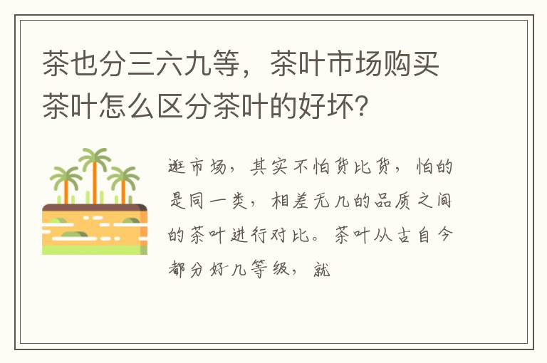 茶也分三六九等，茶叶市场购买茶叶怎么区分茶叶的好坏？