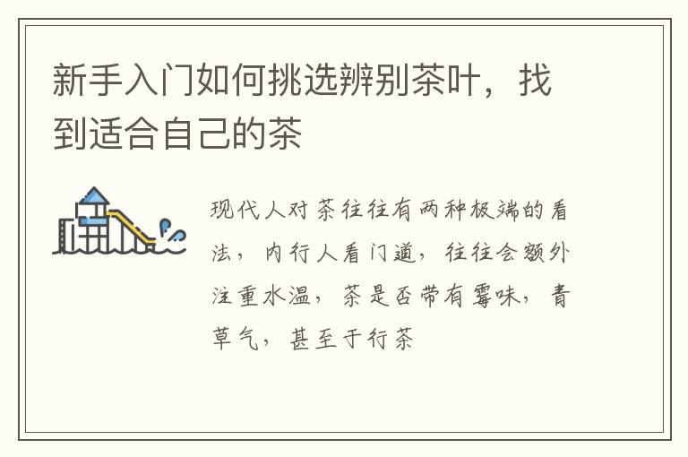 新手入门如何挑选辨别茶叶，找到适合自己的茶