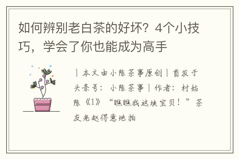 如何辨别老白茶的好坏?4个小技巧,学会了你也能成为高手