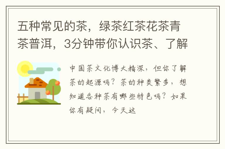 五种常见的茶，绿茶红茶花茶青茶普洱，3分钟带你认识茶、了解茶