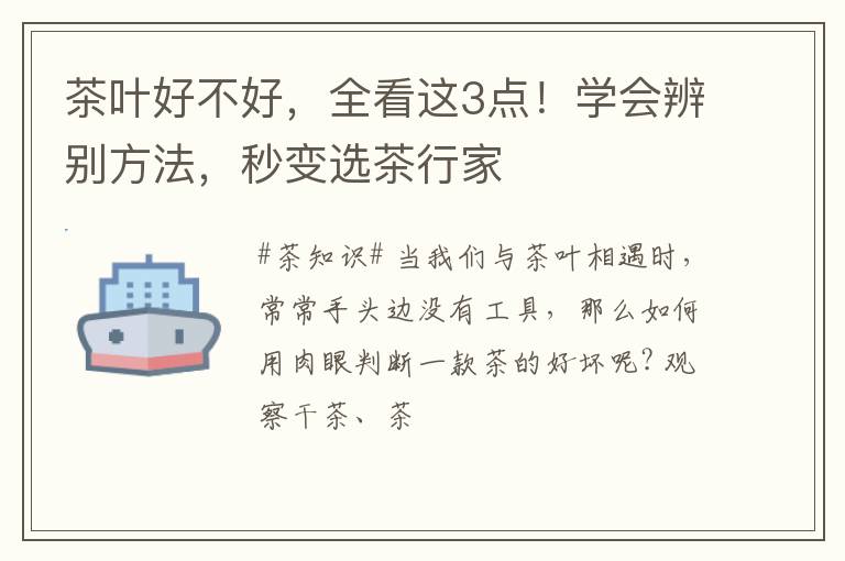 茶叶好不好，全看这3点！学会辨别方法，秒变选茶行家